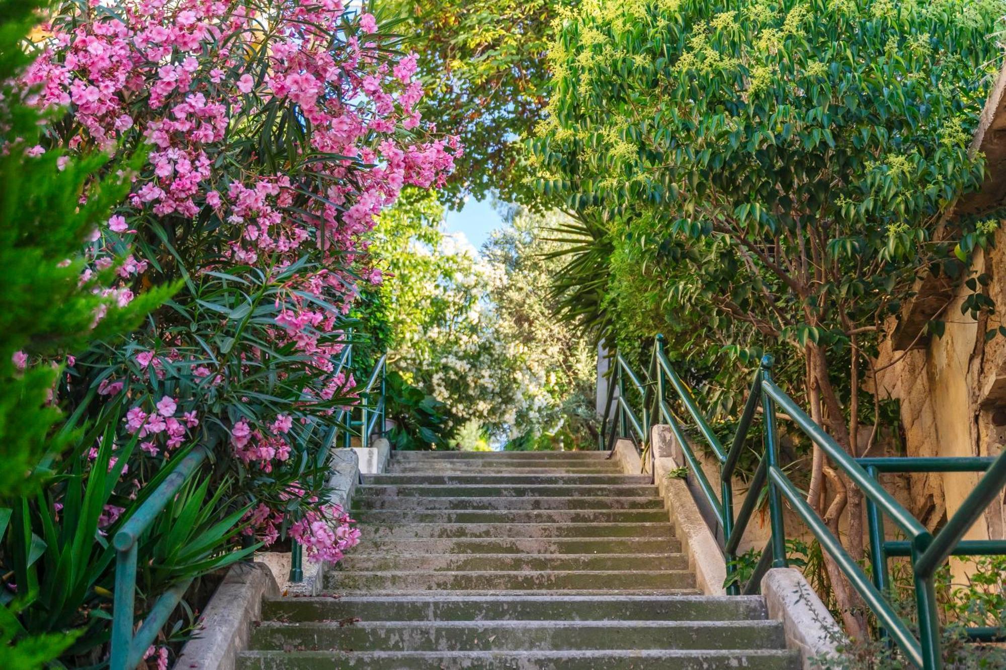 Ivy Apartment In The Heart Of The City Athènes Extérieur photo